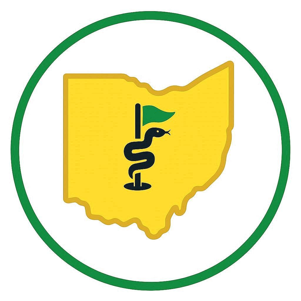 BSO